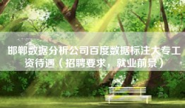 邯郸数据分析公司百度数据标注大专工资待遇（招聘要求，就业前景）