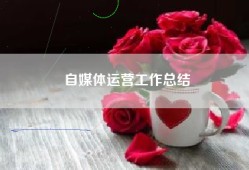 自媒体运营工作总结