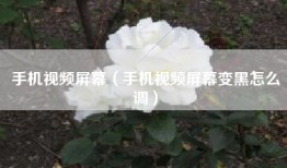 手机视频屏幕（手机视频屏幕变黑怎么调）