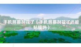手机屏幕刮花了（手机屏幕刮花了还能贴膜吗）