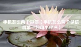 手机怎么两个微信（手机怎么两个微信屏幕一起用小程序）