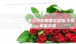 为发烧而生，梁山导航嘟嘟定制版 车机安装&桌面评测