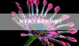 验手机（验手机软件）