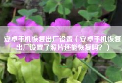 安卓手机恢复出厂设置（安卓手机恢复出厂设置了照片还能恢复吗？）