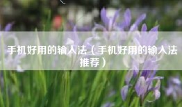 手机好用的输入法（手机好用的输入法推荐）
