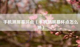 手机测屏幕坏点（手机测屏幕坏点怎么测）