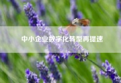 中小企业数字化转型再提速