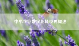 中小企业数字化转型再提速