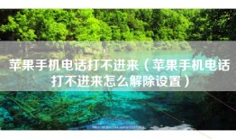 苹果手机电话打不进来（苹果手机电话打不进来怎么解除设置）