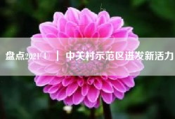 盘点2021④ ｜ 中关村示范区迸发新活力