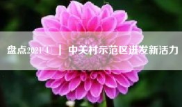 盘点2021④ ｜ 中关村示范区迸发新活力