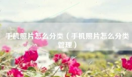 手机照片怎么分类（手机照片怎么分类管理）