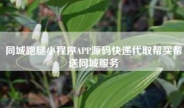 同城跑腿小程序APP源码快递代取帮买帮送同城服务