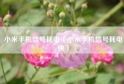 小米手机信号耗电（小米手机信号耗电快）