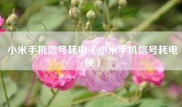 小米手机信号耗电（小米手机信号耗电快）