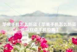 苹果手机怎么防盗（苹果手机怎么防盗追踪安卓手机位置）