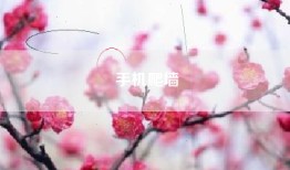 手机爬墙