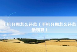 手机分期怎么还款（手机分期怎么还款最划算）
