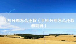手机分期怎么还款（手机分期怎么还款最划算）