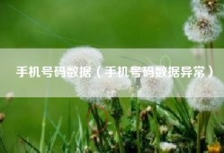 手机号码数据（手机号码数据异常）