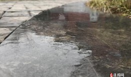 清明下雨的说法，清明下雨好还是晴天好