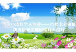 创业小项目个人创业——172号卡分销系统流量卡代理轻松月入过万