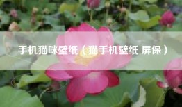 手机猫咪壁纸（猫手机壁纸 屏保）