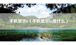 手机显示h（手机显示hd是什么）