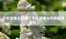 手机摄像头划痕（手机摄像头划痕能修复吗）