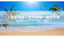 【地推项目】支付宝碰一碰合作商