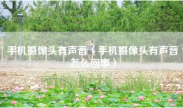 手机摄像头有声音（手机摄像头有声音怎么回事）