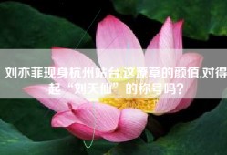 刘亦菲现身杭州站台,这潦草的颜值,对得起“刘天仙”的称号吗？