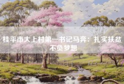 桂平市大上村第一书记马奔：扎实扶贫 不负梦想