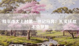 桂平市大上村第一书记马奔：扎实扶贫 不负梦想