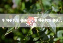 华为手机省电模式（华为手机省电模式怎么调）