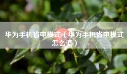 华为手机省电模式(华为手机省电模式怎么调)