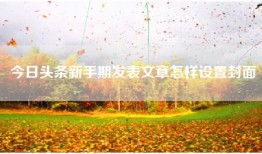 今日头条新手期发表文章怎样设置封面
