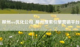 柳州seo优化公司_柳州搜索引擎营销平台