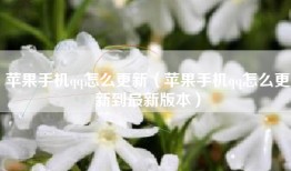 苹果手机qq怎么更新（苹果手机qq怎么更新到最新版本）