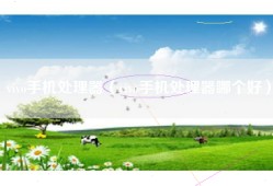 vivo手机处理器（vivo手机处理器哪个好）