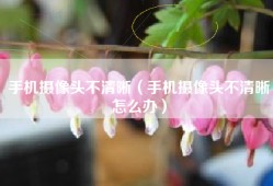 手机摄像头不清晰（手机摄像头不清晰怎么办）