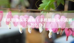 手机摄像头不清晰（手机摄像头不清晰怎么办）