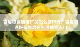百度极速版推广员怎么做申请？百度极速版拉新后台开通教程入口