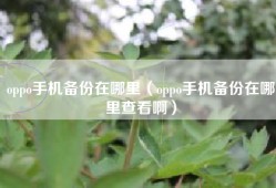 oppo手机备份在哪里（oppo手机备份在哪里查看啊）
