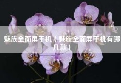魅族全面屏手机（魅族全面屏手机有哪几款）