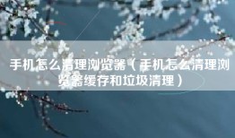 手机怎么清理浏览器（手机怎么清理浏览器缓存和垃圾清理）