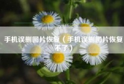 手机误删图片恢复（手机误删图片恢复不了）