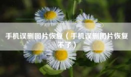 手机误删图片恢复（手机误删图片恢复不了）