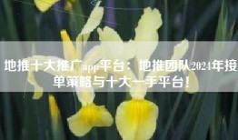 地推十大推广app平台：地推团队2024年接单策略与十大一手平台！
