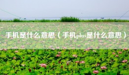 手机是什么意思（手机plus是什么意思）